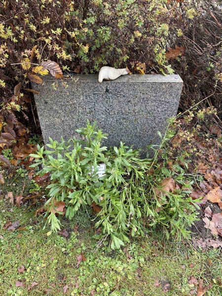 Grave number: VV 3    22