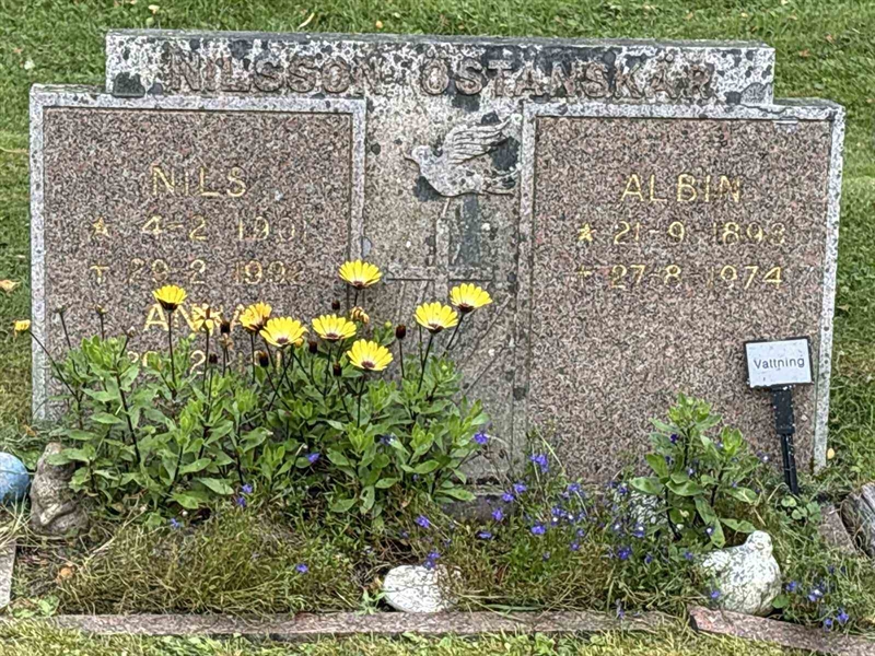 Hautatunnus: IN 31    21-22