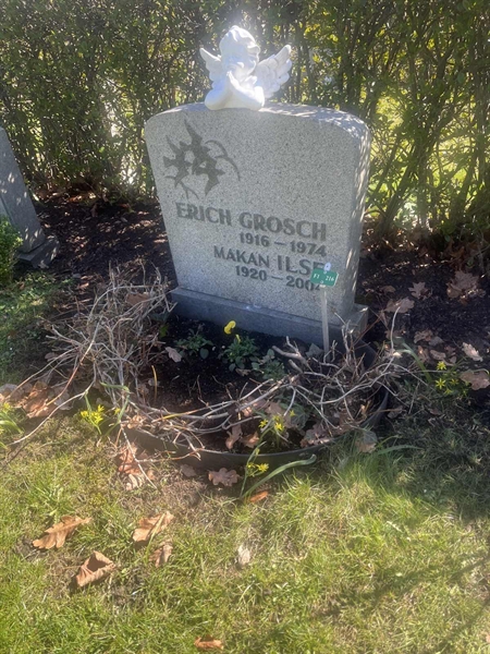 Grave number: 1 3 F1 216