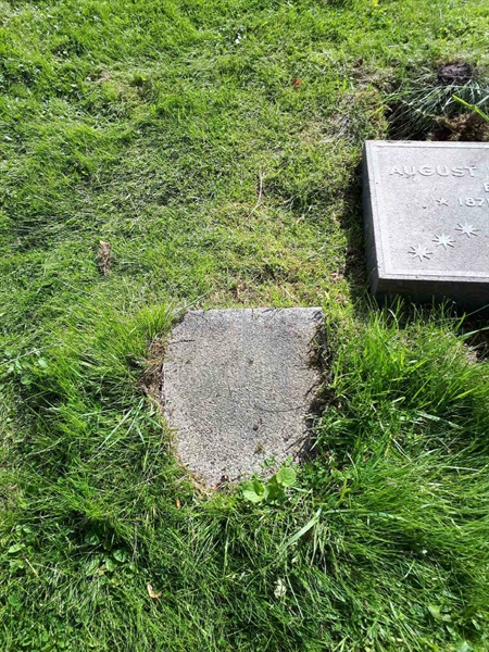 Gravnummer: NK A A   135