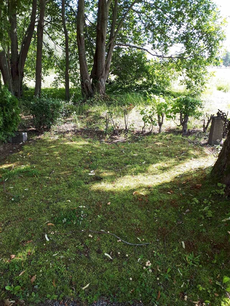 Hautatunnus: GK F 5   477