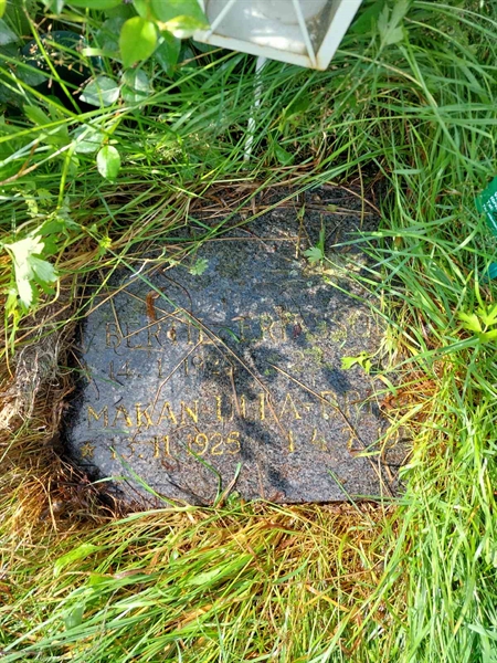 Hautatunnus: 1 U   558