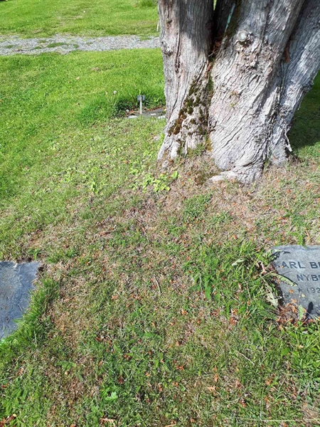 Gravnummer: NK A A   148