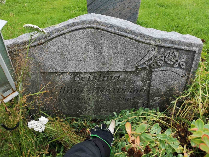 Hautatunnus: NK 17    82