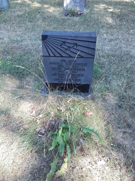 Grave number: NO 07    36
