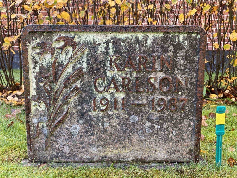 Grave number: 1 24     31