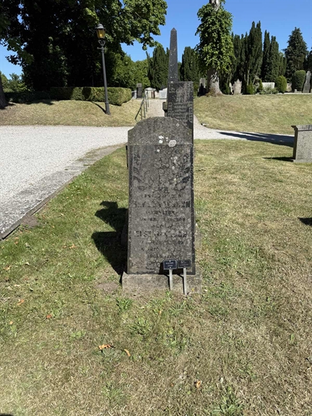 Gravnummer: TR 3 2 29