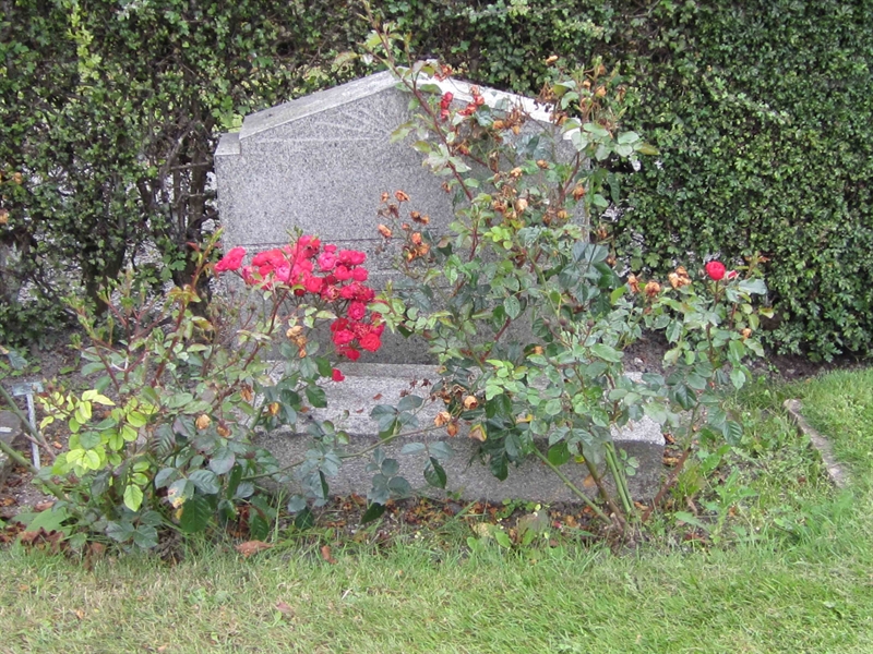 Grave number: 1 Y    11