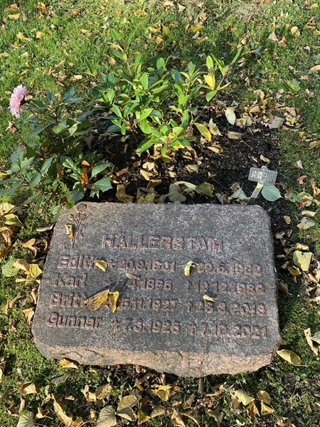 Gravnummer: 1 H   491