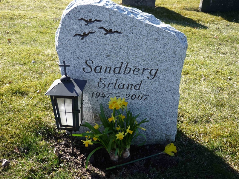 Grave number: ÖD 06   46