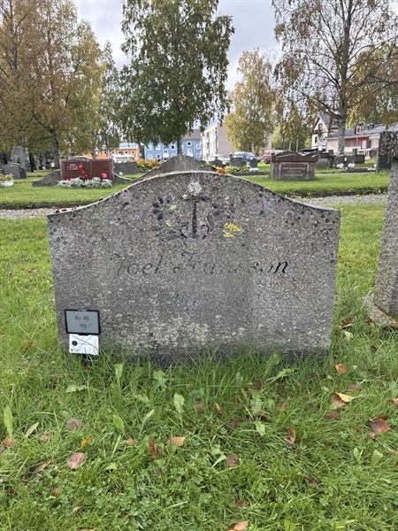 Hautatunnus: 2 06   191