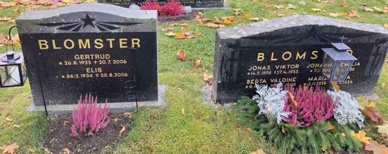 Hautatunnus: 1 GC 01      7