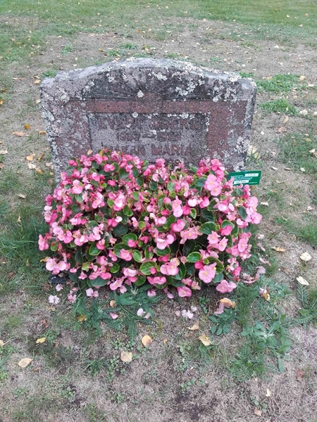 Grave number: VI Ö:A   158