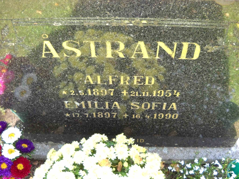 Grave number: 3 MB 17 33-34