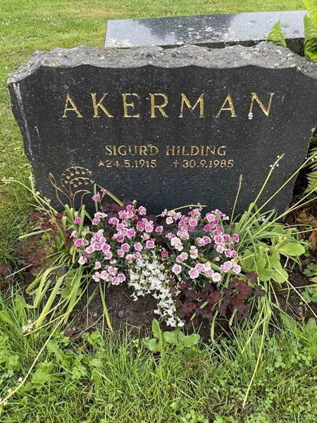 Hautatunnus: N 4 4   579a