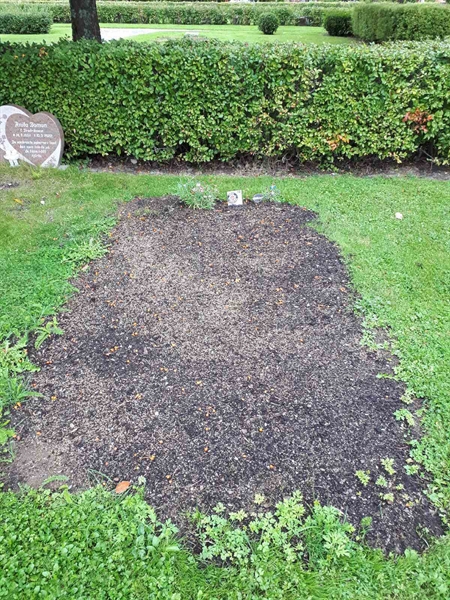 Hautatunnus: NK F D   620