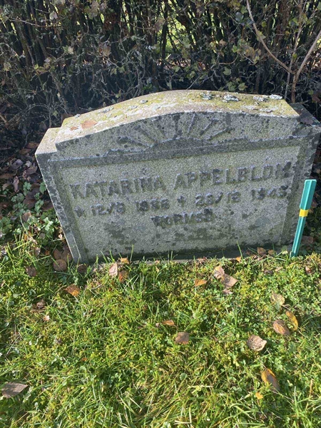 Hautatunnus: 6 04    147