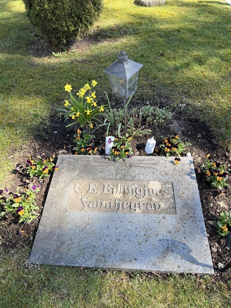 Gravnummer: 22 AU    79