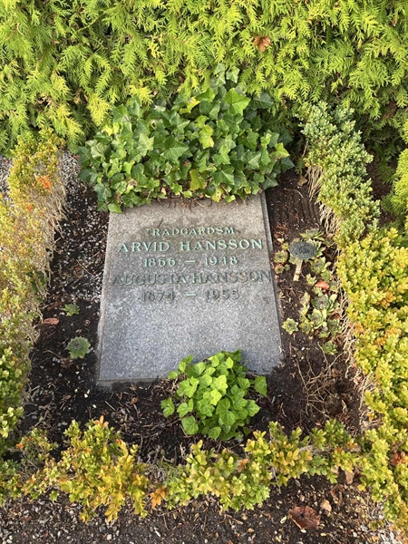 Grave number: NK Urn n     8