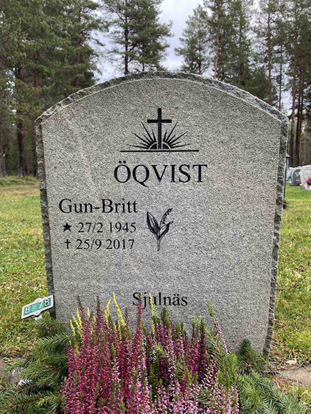 Grave number: 3 8    78