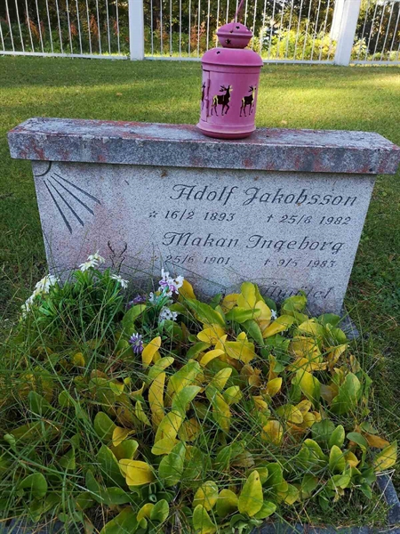 Hautatunnus: VLM 11    64:1-2