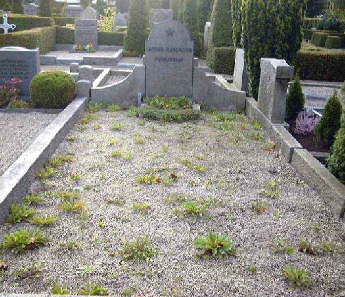 Grave number: NK VIII    19