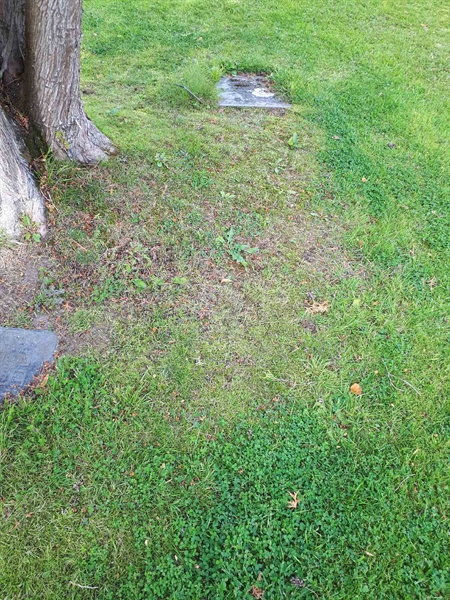 Gravnummer: NK A A   211