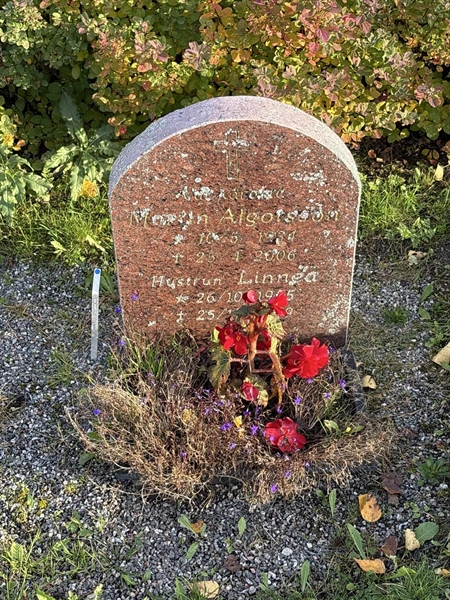 Grave number: 4 N ND   356