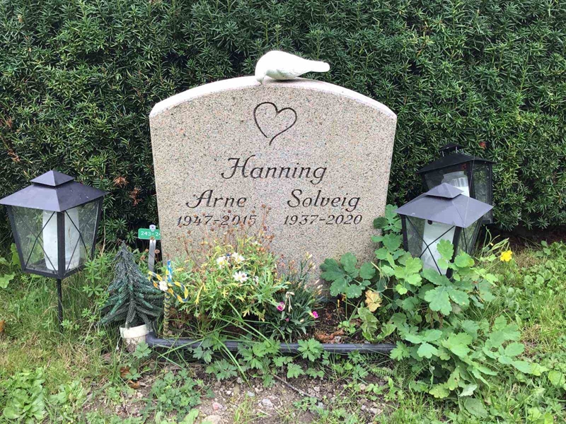 Hautatunnus: Kaga ny   242-243