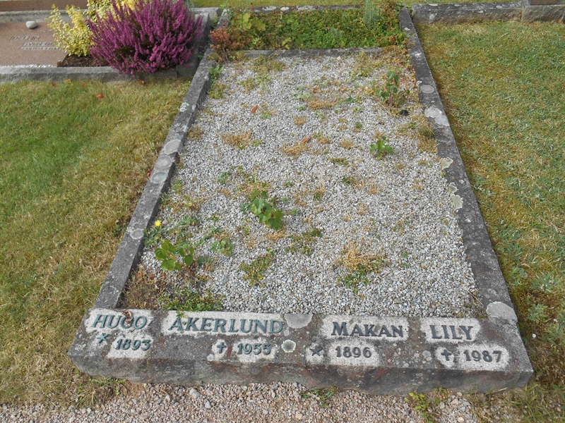 Grave number: Vitt N13    19