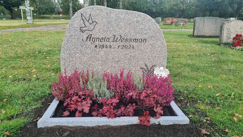 Grave number: M N 10 15-16
