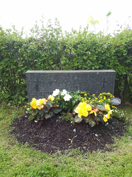 Hautatunnus: GK F 5   617