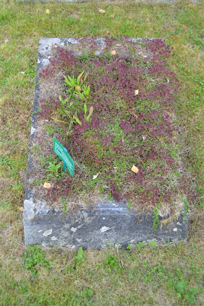 Grave number: 1 F   477