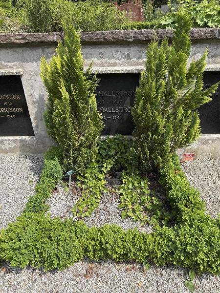 Gravnummer: Ö U07 60