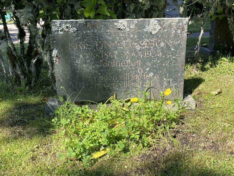 Grave number: 8 1 01   191-193