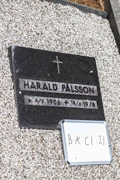 Hautatunnus: Bkl I C 21