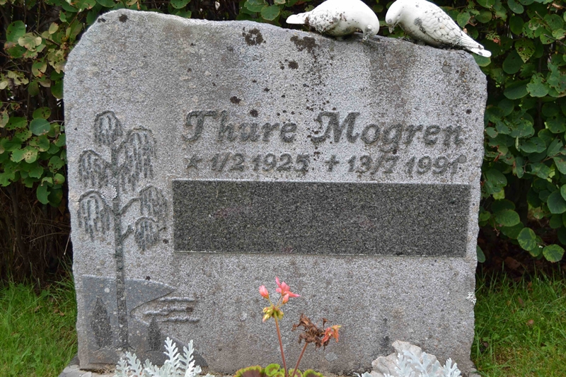 Grave number: 12 1    45-46