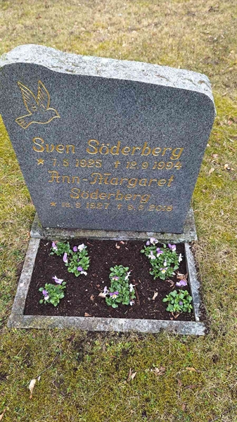 Hautatunnus: VG A   131-132