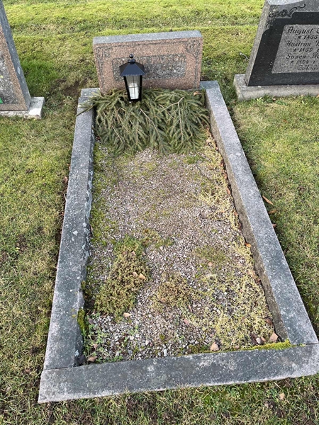 Hautatunnus: Vårv Kv1 169