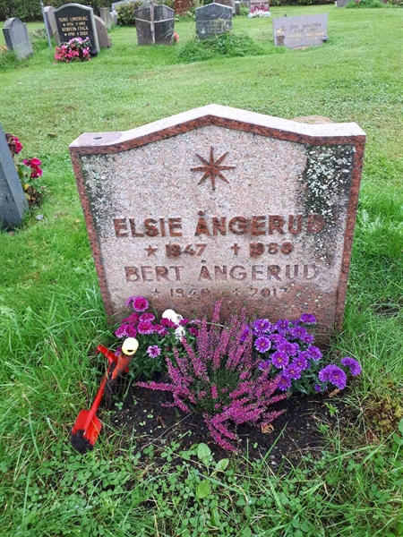 Hautatunnus: NK F B  1003