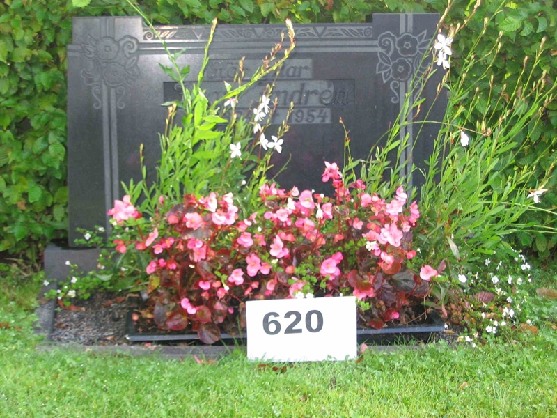 Grave number: FK 06    620