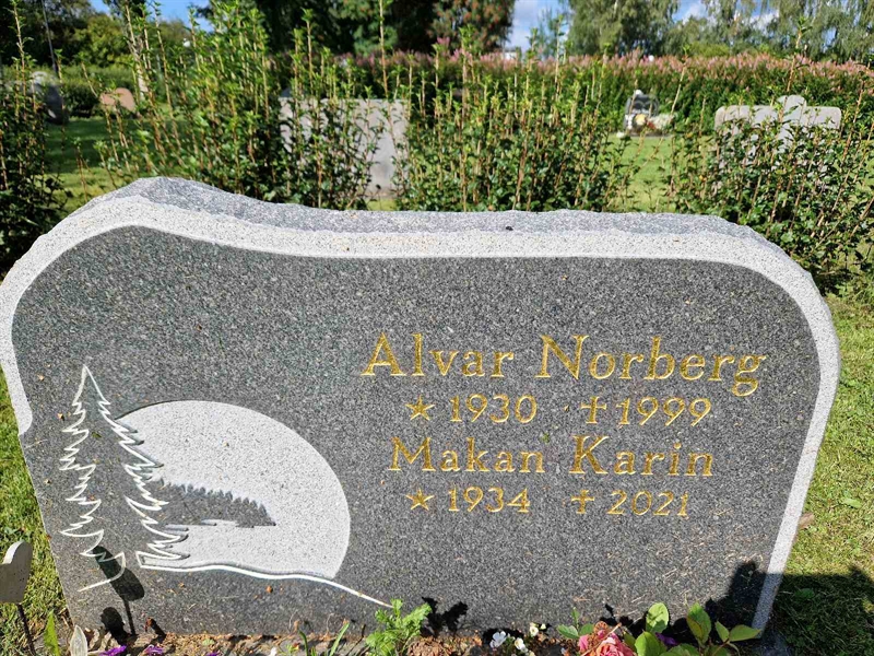 Hautatunnus: 452 25 1140