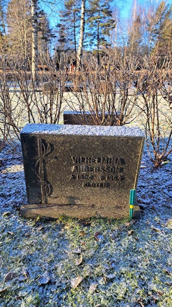 Gravnummer: 6 05    118