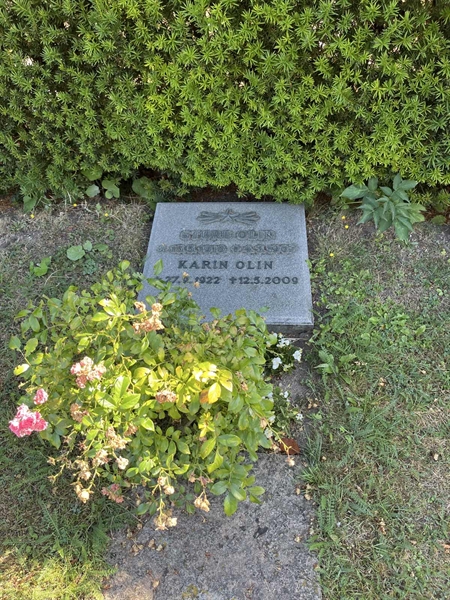 Grave number: NK I:u   290