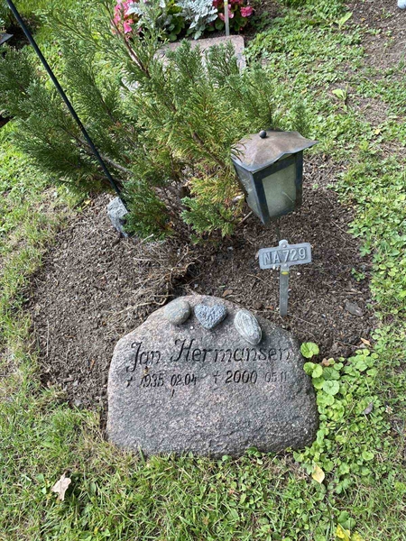 Hautatunnus: 1 NA   729