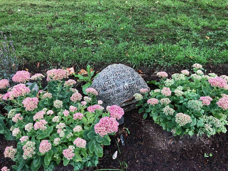 Grave number: Kå 47   215