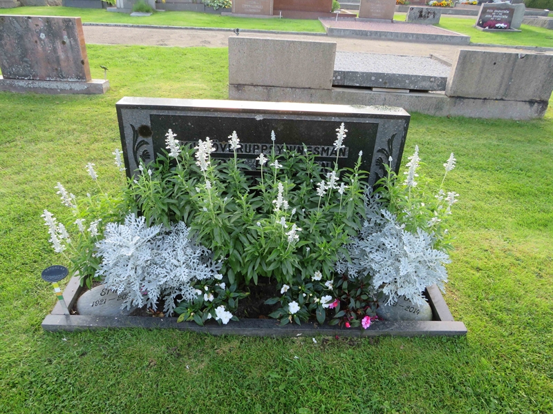 Grave number: 1 03   58