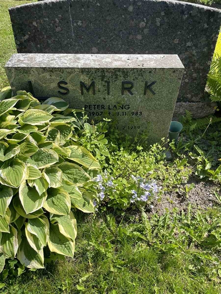 Hautatunnus: N 5 2   226a