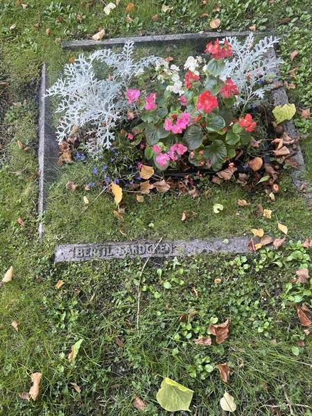 Gravnummer: HVRÖ II Bv     2