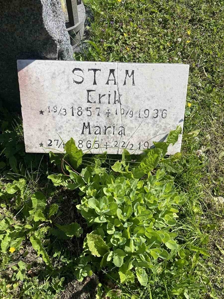 Hautatunnus: N 5 2   225